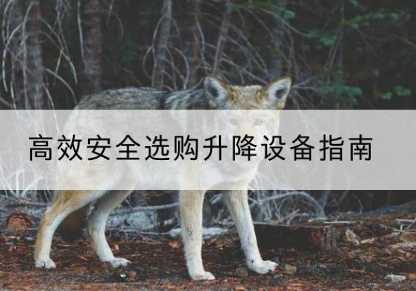 岱山升降货梯厂家推荐-*安全选购升降设备指南