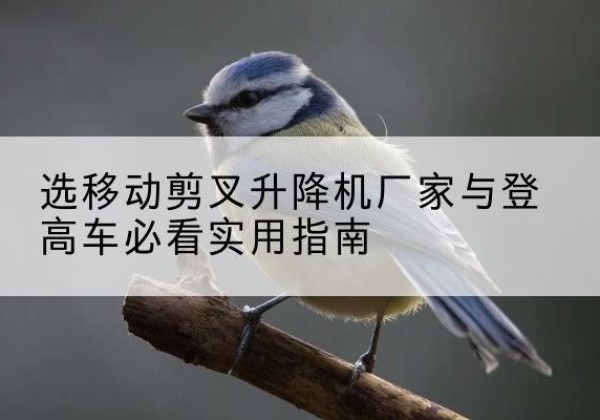 岱山电动升降机厂家-选移动剪叉升降机厂家与登高车必看实用指南